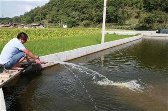 养鱼水浇花好吗，家庭鱼缸水不能浇花(鱼塘水可用)