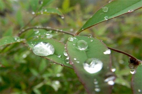 雨泽的寓意是什么，起名是良才/转运进财的风水意义