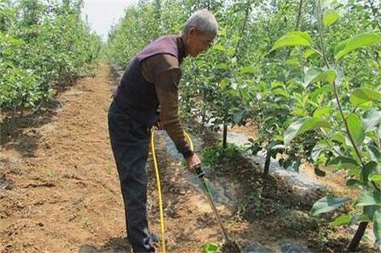 基肥和追肥有什么区别，基肥改善土壤追肥提供养分