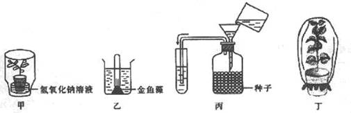 光合作用