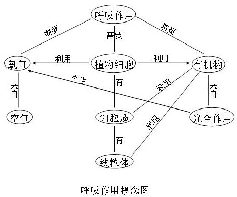 植物的呼吸作用