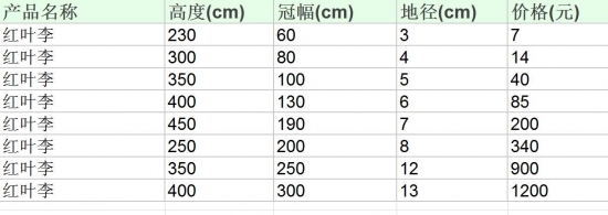 红叶李市场价格参照表