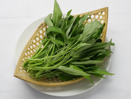 蕹菜是什么菜